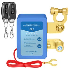 Smart Car Battery Disconnect Switch